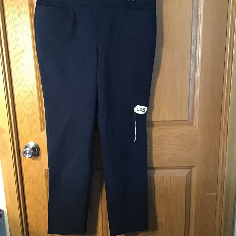 Briggs Dress Pants